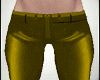 Gold Leather Pants