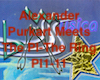 Alexander Purkart Meets