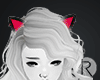 ® | Neko Ears