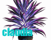 Club Plant music