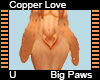 Copper Love Big Paws