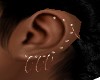 ROSE GOLD STUDS/ HOOPS