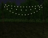 [K] Camp Lights