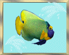 Aloha Fish Animated