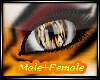 Tiger Eyes Male+Female