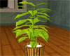 Green Planted Bamboo Pot