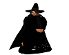 Halloween Wizard Suit