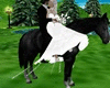 DM]KISS HORSE