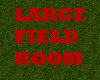Large Field
