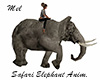 Safari Elephant Animated