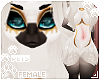 [Pets] Evy | fem skin