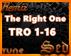 |S| The Right One Remix