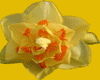 !ML Daffodil FairyCollar