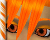 Orange Cream Eyebrows
