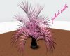 Pink and Black Palm tree