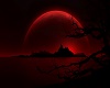 Red Moon Picture