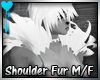 D~Shoulder Fur: White