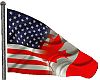 USA - Canada Flag