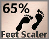 Feet Scaler 65%