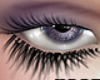 Bottom Lash