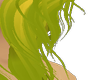 Bowser Fur Hair M