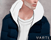 VT | Winter Jacket .1