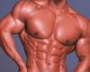 Big chest Arnold