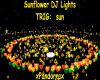 Sunflower DJ Lights