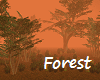Ambient Forest