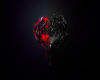 The Love F