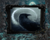 RavenMoon Portrait