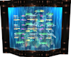 COUNTRY AQUARIUM