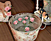 rose water