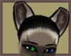 Siamese ears