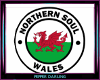 Northern Soul Wales Rug