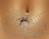 Belly Spider