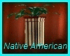 TS-Native American Plant
