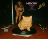 Club Cat