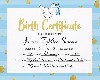 Ja'cere Birth Cert
