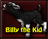 ~R Billy The Kid