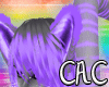 [C.A.C] Purple Tigi Ears