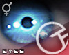 TP Unisex Eyes - Zeta 5