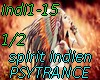 Spirit indien-TRANCE1/2