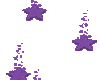 Stars Purple #8