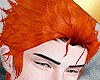 ✶Bowser Hair
