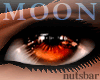 *n* moon brown eyes /M