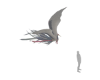 White Crane Fantasy