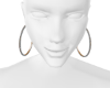 Sublime Earrings