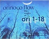 Orinoco flow 2020-enya