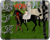 [BIR]Horse Kids 40 /50 %